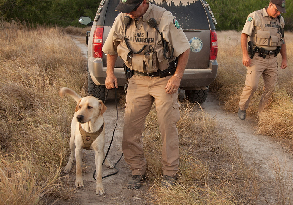 Game Wardens Searching with K9