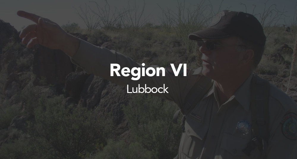 Region 6 - Lubbock Button