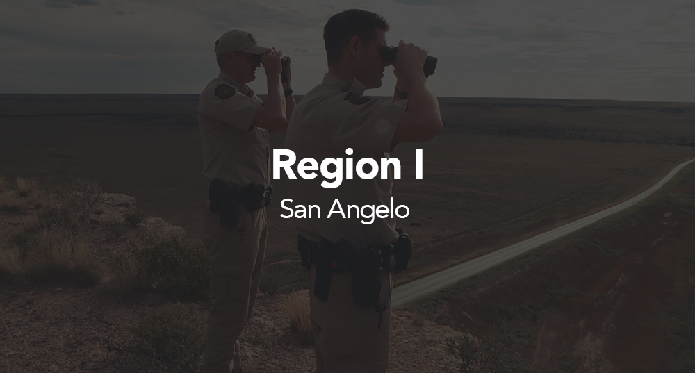 Region 1 - San Angelo Button