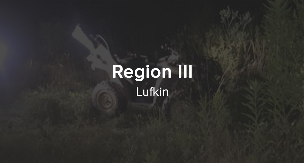 Region 3 - Lufkin Button