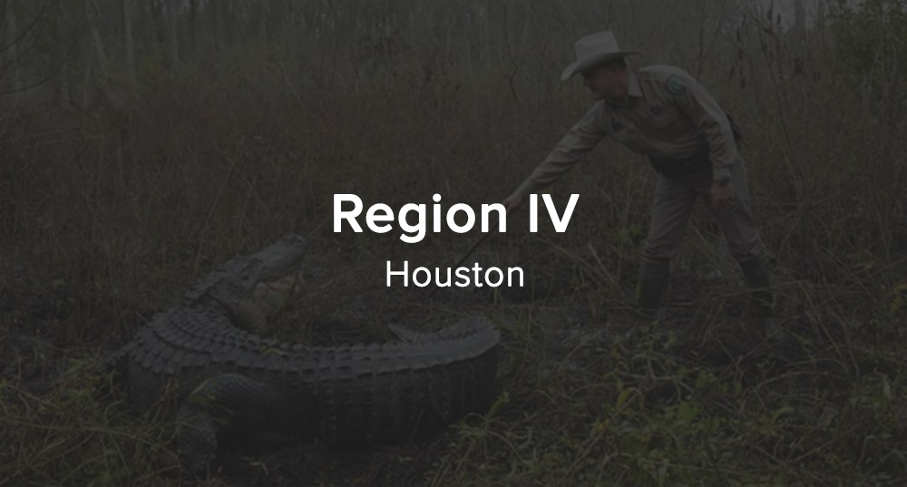 Region 4 - Houston Button