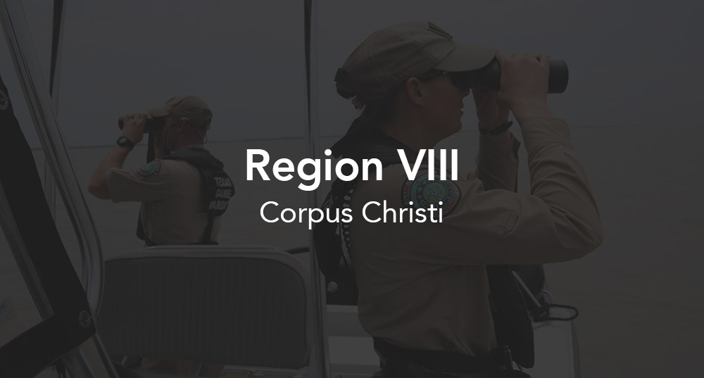 Region 8 - Corpus Christi Button