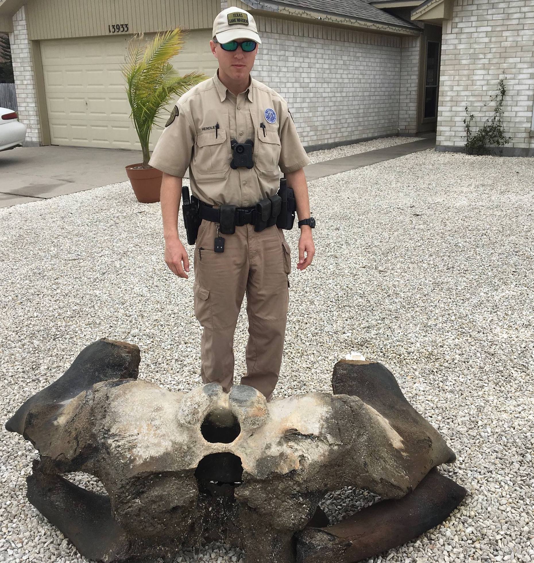 What do Texas Game Wardens do?