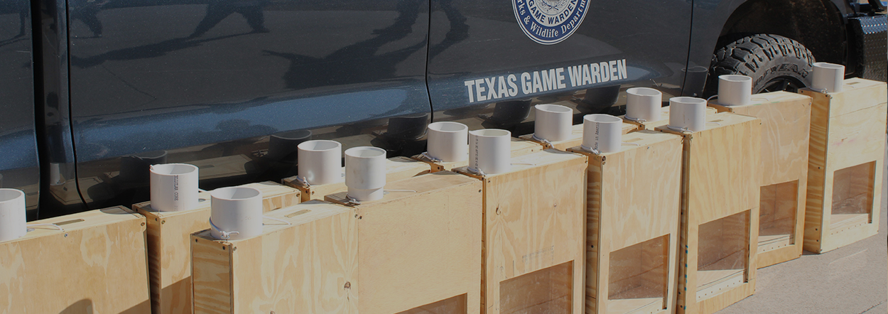 Eagle Scout Supports Texas Game Warden K-9 Team