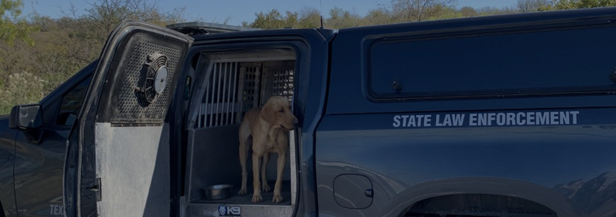 Meet Texas Game Warden K-9 Lola